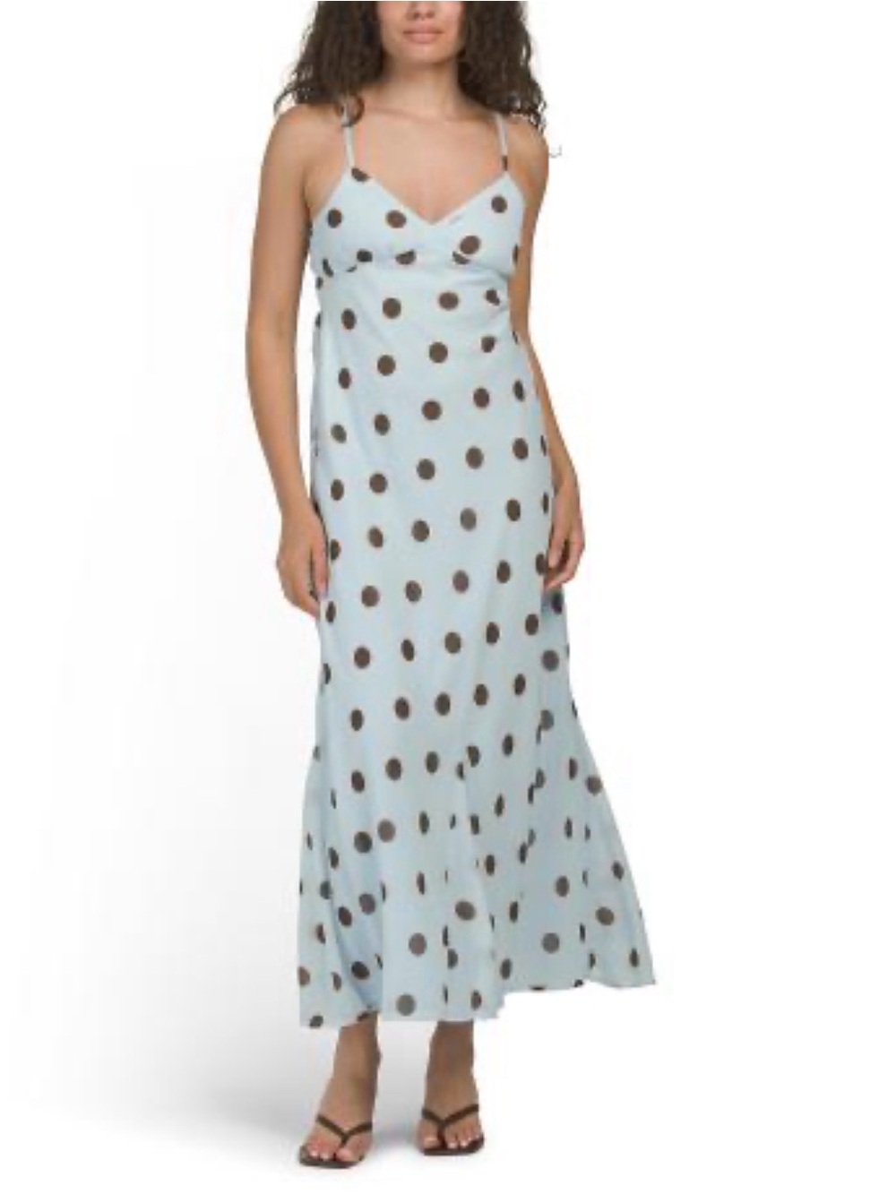 Japna Blue and Brown Polka Dot Dress
